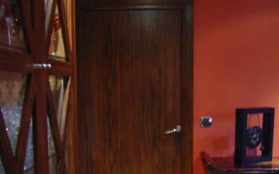 ARTICLE : Ébène de Macassar